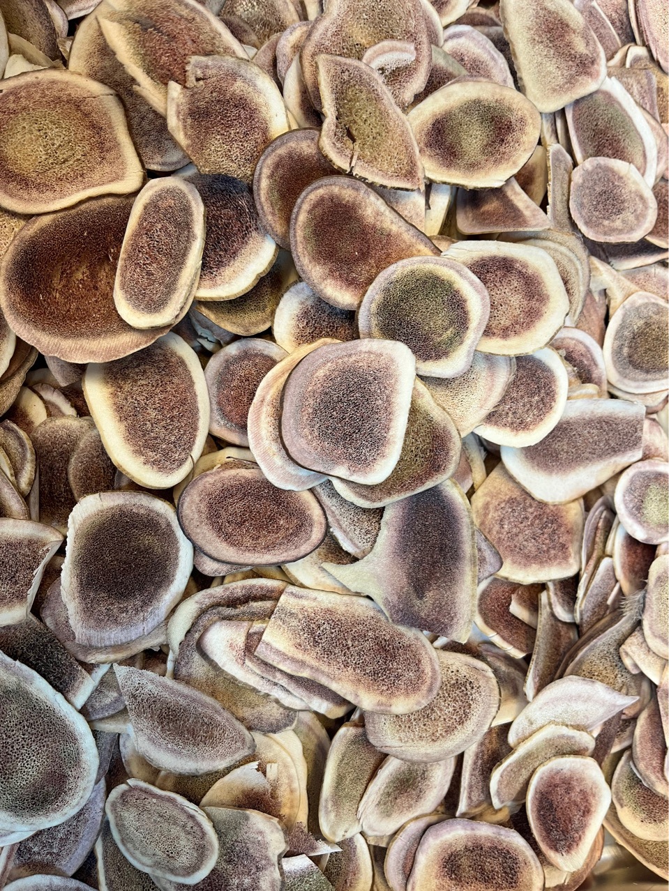 批发东北长春鹿茸片干货鹿茸骨片梅花鹿马鹿泡酒煲汤散装250g装