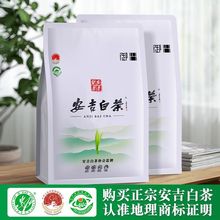 御兴安吉白茶2023年新茶正宗明前黄金芽绿茶茶叶高档送礼250g