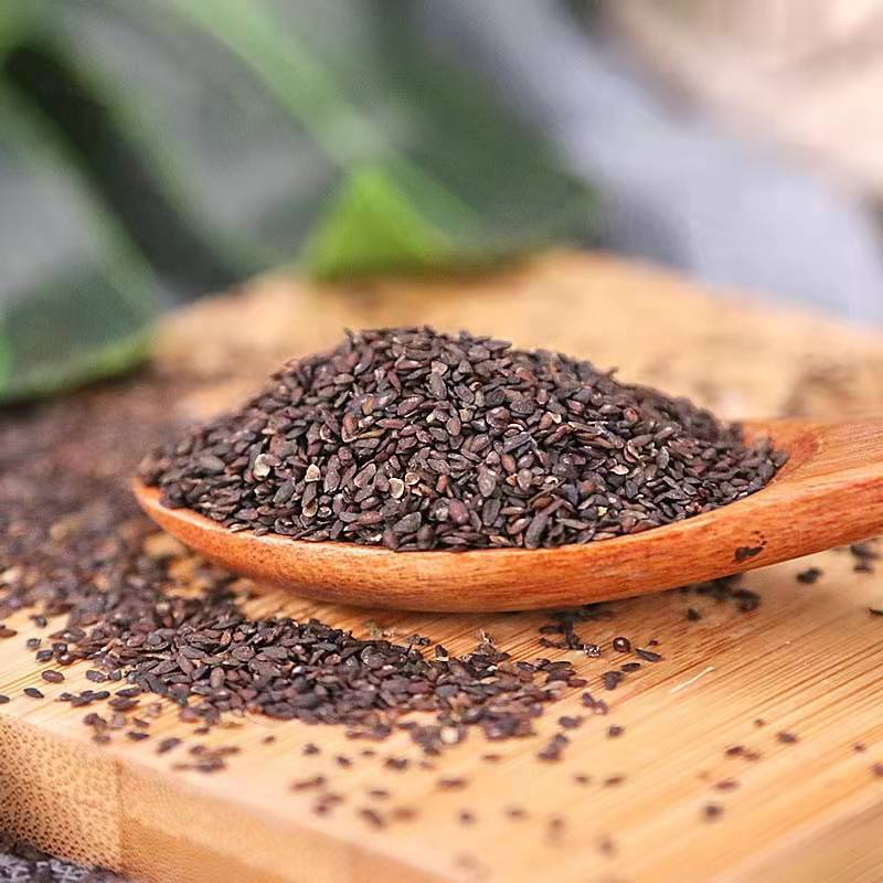 车前子 中药材批发车前子 盐车前子 炒车前子各种规格大货供应