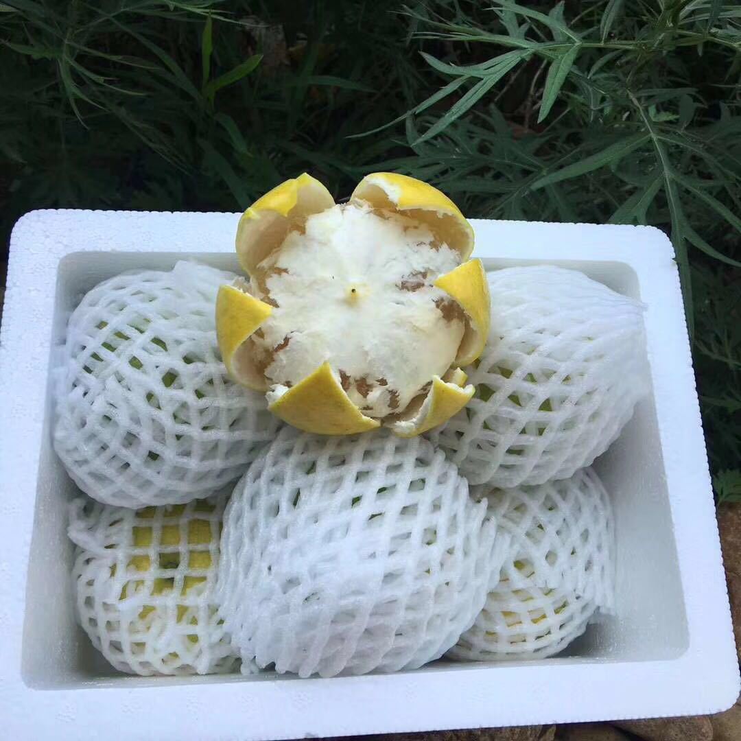 柚子葡萄柚福建琯溪白心葡萄柚当季鲜水果孕妇非红心蜜柚5斤代发