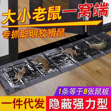 灭鼠粘鼠毯 老鼠板强力老鼠贴魔毯 1.2米黑色隐蔽型 厂家直销代发