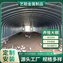 养殖温室大棚厂家养猪养鸡温室大棚安装畜牧大棚骨架养殖大棚建设