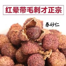 广东嘉华 阳春特产阳灵脱水春砂仁25g瓶装春砂仁籽即食砂仁调味料