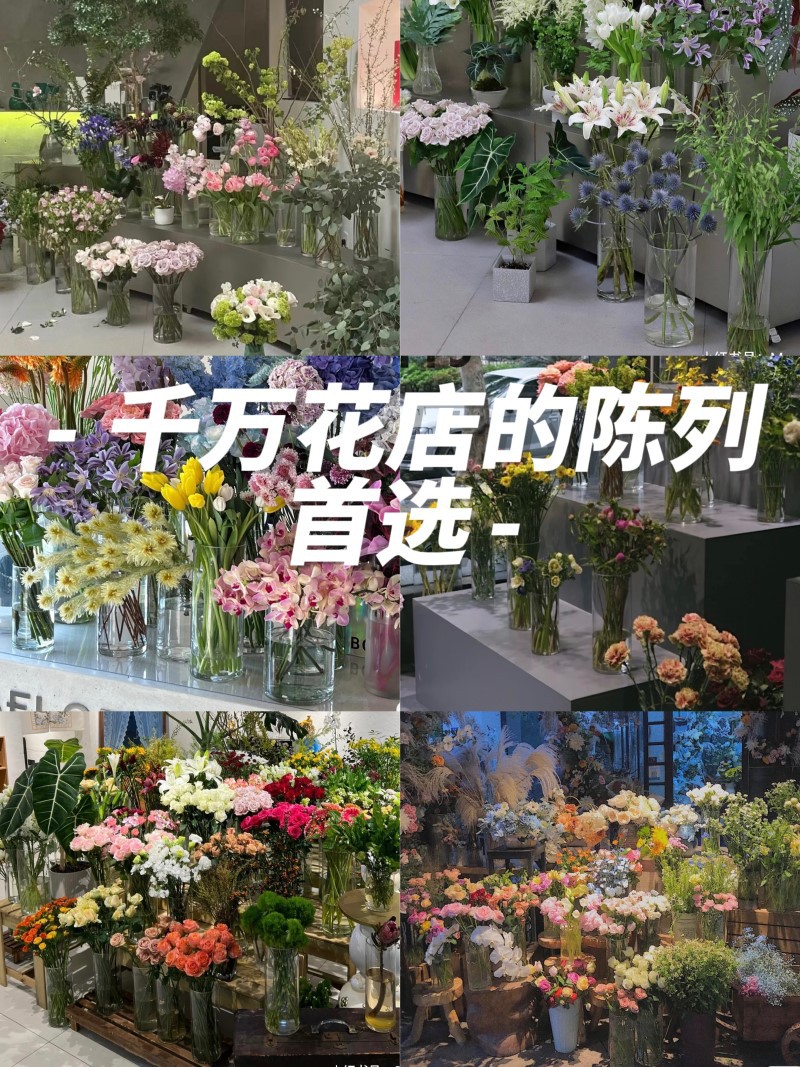Wholesale Large Transparent Straight Glass Vase Floor Thickened Road Lead Lucky Bamboo Drunk Wood Simple Ornaments Flower Vase
