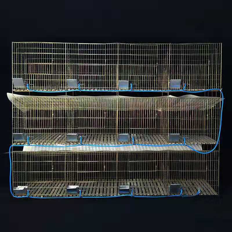 加粗12位24位商品兔子笼特大号子子母兔笼兔笼子母兔笼兔舍养殖笼