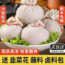 肚包肉羊肉肠内蒙古产新鲜羊肚牛肉10斤商用羊肠包肉网红同款