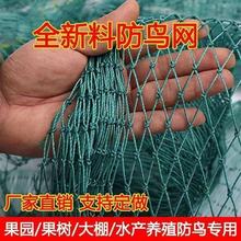 防鸟网尼龙网樱桃养鸡围栏葡萄天网青蛙牛蛙泥鳅养殖防逃网防护网