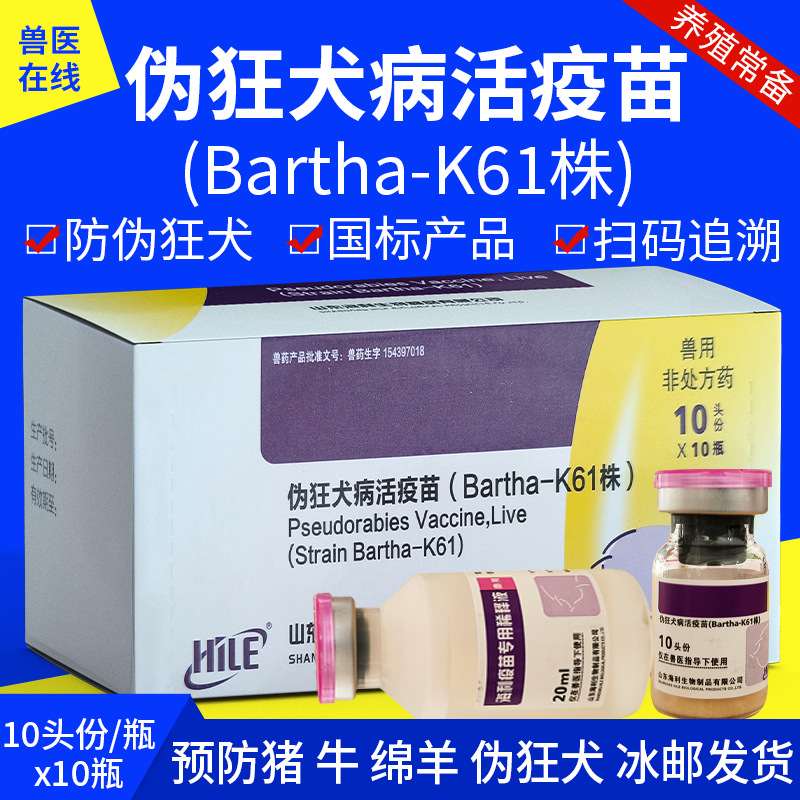 山东海利猪伪可净猪伪狂犬病活疫苗k61株猪用伪狂犬活疫苗猪疫苗