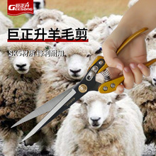 羊毛剪刀手动剃家用纯手工的剪子剪狗毛兔毛牛毛修毛德国大号小号