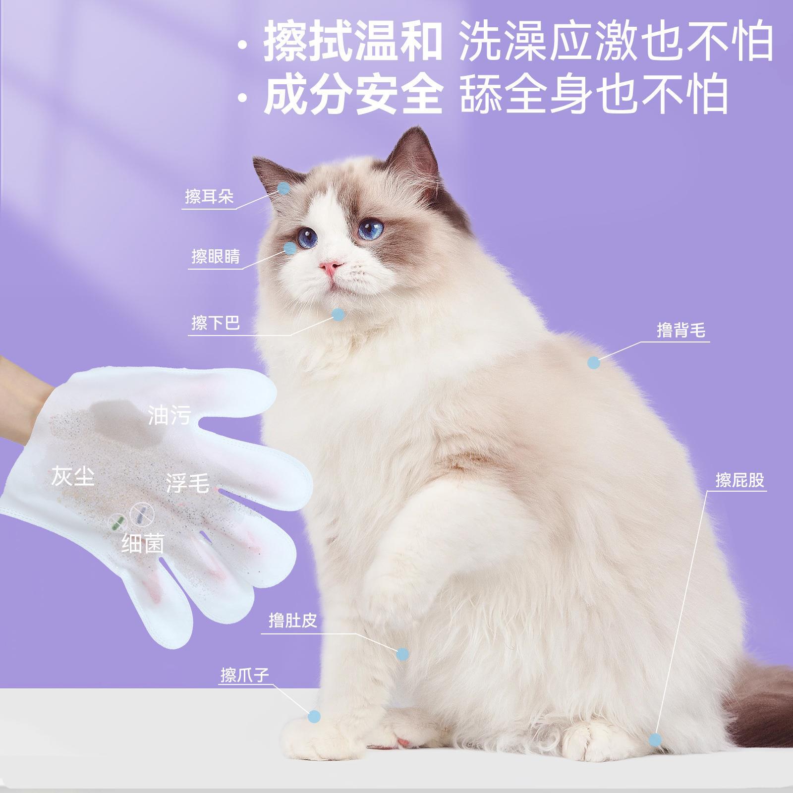 Bath-Free Pet Gloves Cleaning Wipes Deodorant Dog Gloves Spa Cat Wipe Tear Marks Beauty Product for Pet 10 Pieces