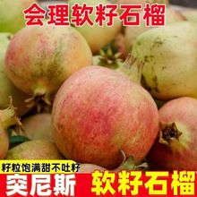 现摘现发四川突尼斯软籽石榴甜石榴新鲜应季水果整箱代发一级果