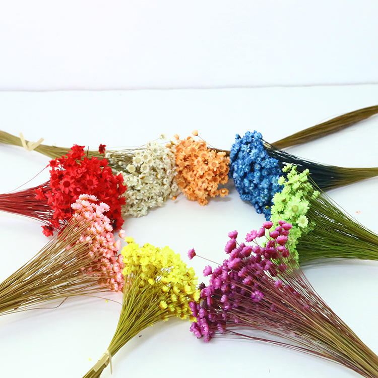 小星花干花永生花系列母亲节情人节520情感礼品客厅办公装饰批发