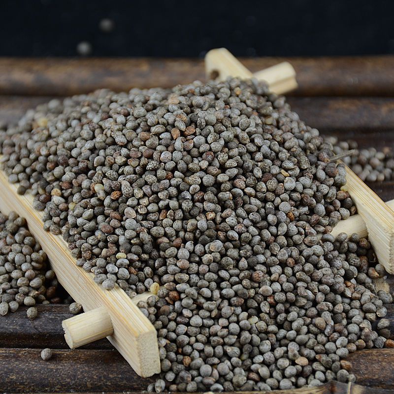 22年贵州酥麻籽精选农家黑苏麻引子油性酥麻乌蒙糖苏麻籽紫苏麻