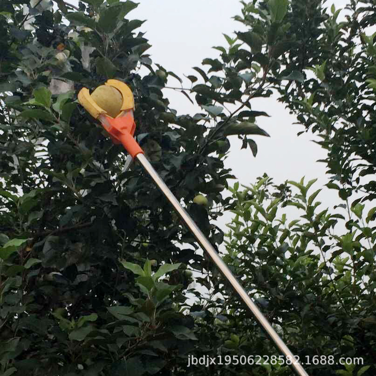 摘苹果神器高空摘果器三爪摘水果摘果子伸缩杆摘梨石榴三抓采摘果