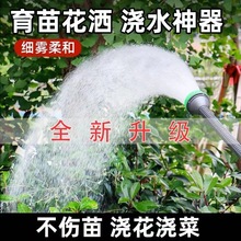 4分6分农用喷水浇菜洒水器喷雾花洒浇花淋菜雾化水泵育苗喷头