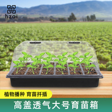 植物育苗箱育苗杯育苗高盖24孔扦插植物花生种植塑料秧播种蔬菜