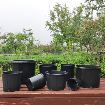 工厂直供批发外贸基地塑料花盆pp果树种植盆圆形加厚加仑盆抗