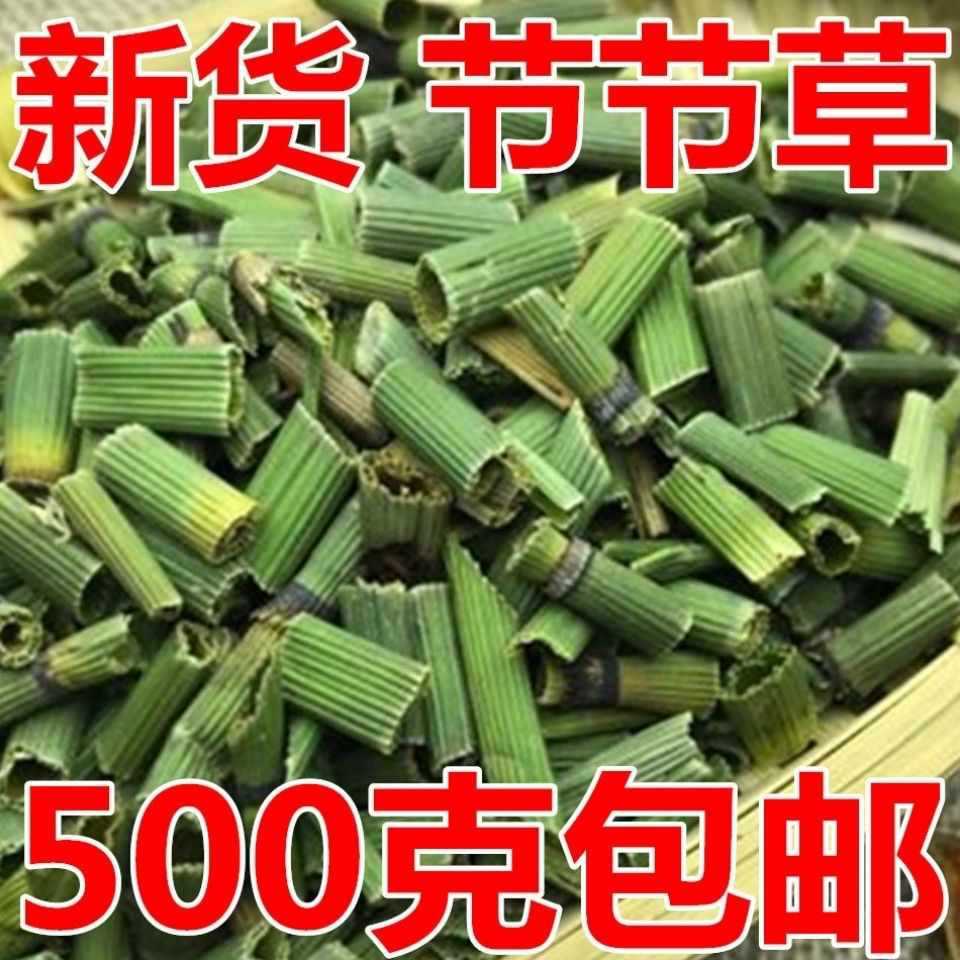 中药材 野生木贼 木贼草 节节草 节骨草新鲜干货25