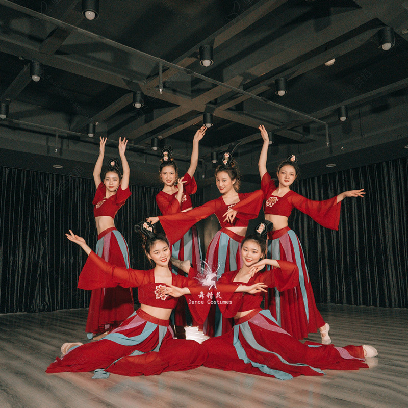 古典舞云想霓裳舞蹈服襦裙风仙女飘逸大裙摆艺考服清平调汉服