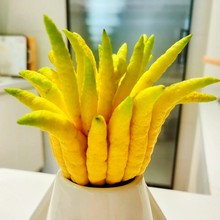 顺丰包邮新鲜佛手柑大果观赏闻香清供食用佛手果青果黄果水培绿植