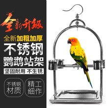 Parrot standing frame stainless steel small and medium跨境专