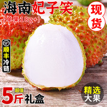 海南妃子笑荔枝5斤新鲜水果当季现摘爆甜桂花荔枝香老树大果整箱
