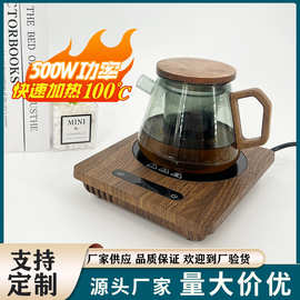 迷你家用小型电热煮茶器铁玻璃电磁炉泡茶烧水茶炉茶壶电陶炉