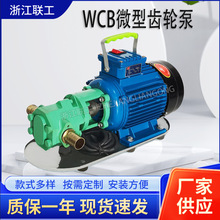 WCB微型齿轮油泵便携式手提油泵220V/380V防爆304不锈钢齿轮油泵