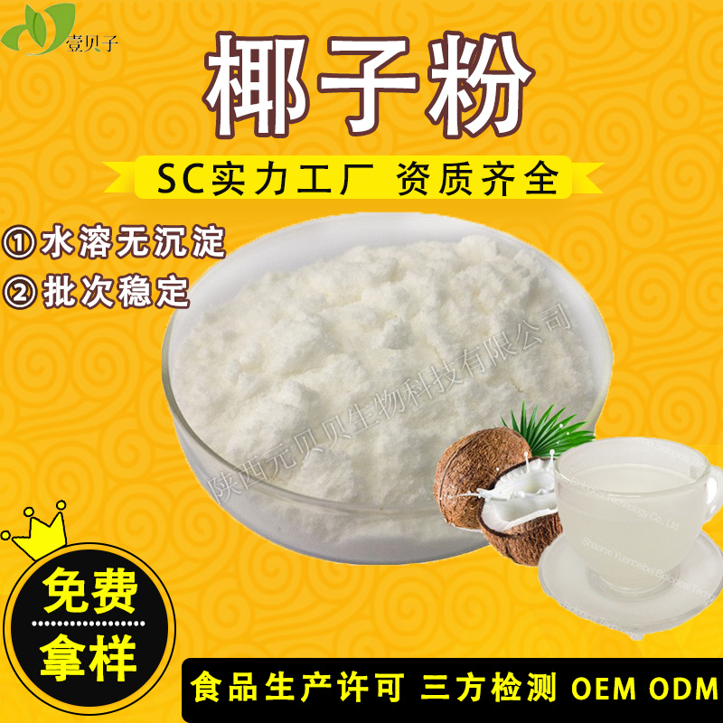 实力工厂速水溶纯椰子粉 冰淇淋粉现货批发椰浆粉椰奶粉 椰子油粉