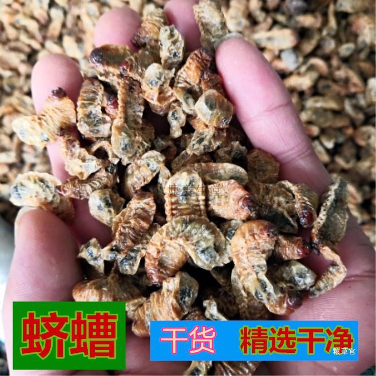 蛴螬250克 包邮 蛴螬干 土蚕 老母虫 核桃虫 粪虫无硫干货真货好