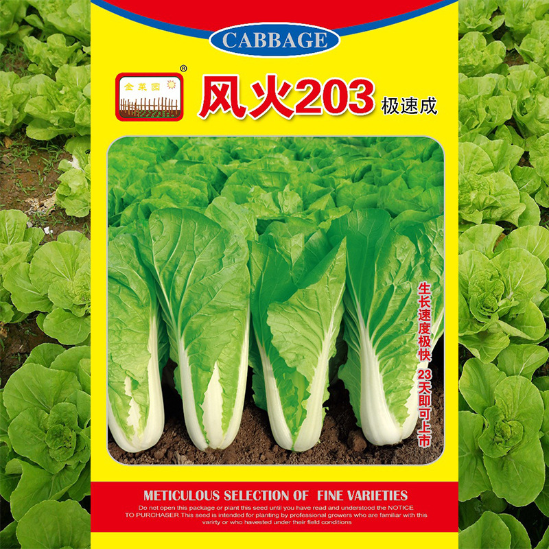 快菜种子菜籽50g袋装批发长得快产量高耐储运农家蔬菜种子公司