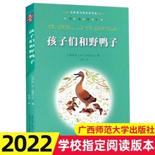 正版 孩子们和野鸭子 书 译本 经典童书阅读指导版 广西师范大学