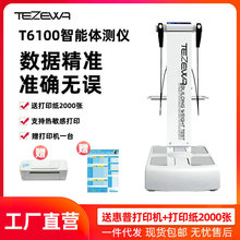 tezewa智能体测仪健身房工作室体脂仪 体重秤人体健康脂肪分析仪