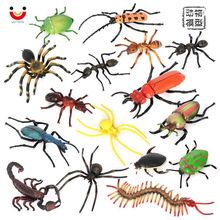 仿真昆虫动物模型天牛甲虫盾蝽蚂蚁蜘蛛蜈蚣蝎子塑胶玩具儿童认知
