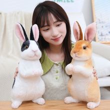 兔子玩偶生肖小白兔年吉祥物公仔毛绒玩具娃娃儿童礼物女