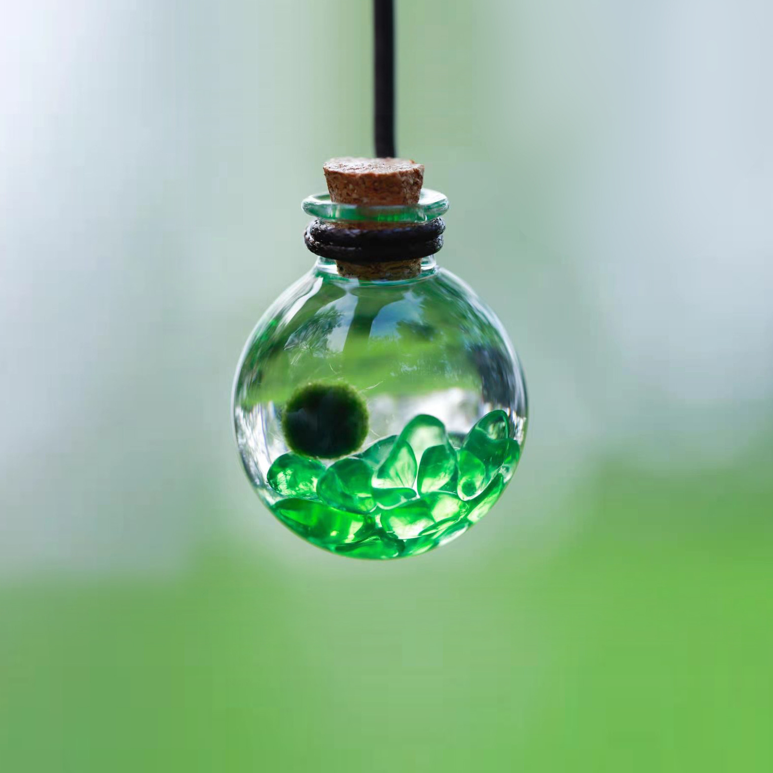 海藻球宠物marimo海藻球diy随身瓶水晶生态瓶海藻球微景观许愿瓶