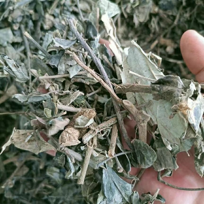 云南石楠藤 石南藤 小风藤 爬岩香 巴岩香 正品包邮-阿里巴巴