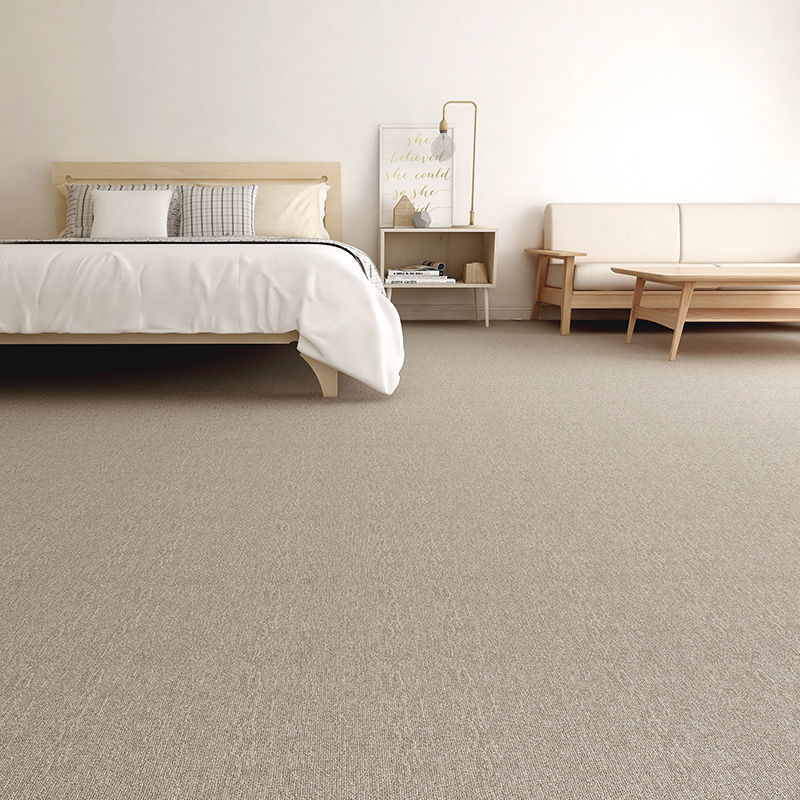 跨境丙纶拍照地毯背景布摄影直播衣帽间客厅卧室定制满铺办公地毯