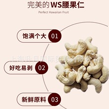 越南进口高品质腰果 生腰果仁批发 大腰果 坚果 干果类 WW320箱装