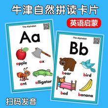 牛津自然拼读教具卡片同步幼儿小学英语教材英文字母单词教具认知