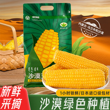 内蒙古沃原玉米绿色家庭装1h锁鲜乌兰布和沙漠甜糯鲜玉米1.85kg