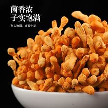 虫草花大量批发大降价干货无熏硫孢子头蛹虫草金虫草干货煲汤食材