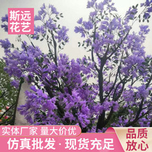 仿真蓝花楹树枝庭院园林装饰 蒲公英树假花室内摄影装饰道具现货