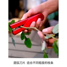 打刺钳玫瑰去塑料玫瑰花除刺花泥花艺去叶去宝夹子厂家独立站代发