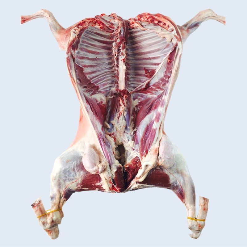 国产新鲜羊肉现一整只羊新疆内蒙古烤全羊羊排羊蝎子羊腿半只羊