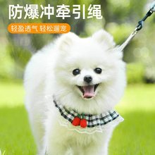 狗狗牵引绳遛狗绳幼犬狗链子小狗小型犬泰迪比熊博美胸背带背心式