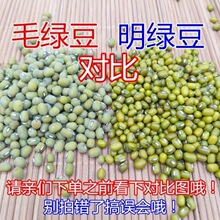 5斤毛绿豆好绿豆 熬粥生绿豆芽绿豆糕 农家老品种防暑2斤包邮