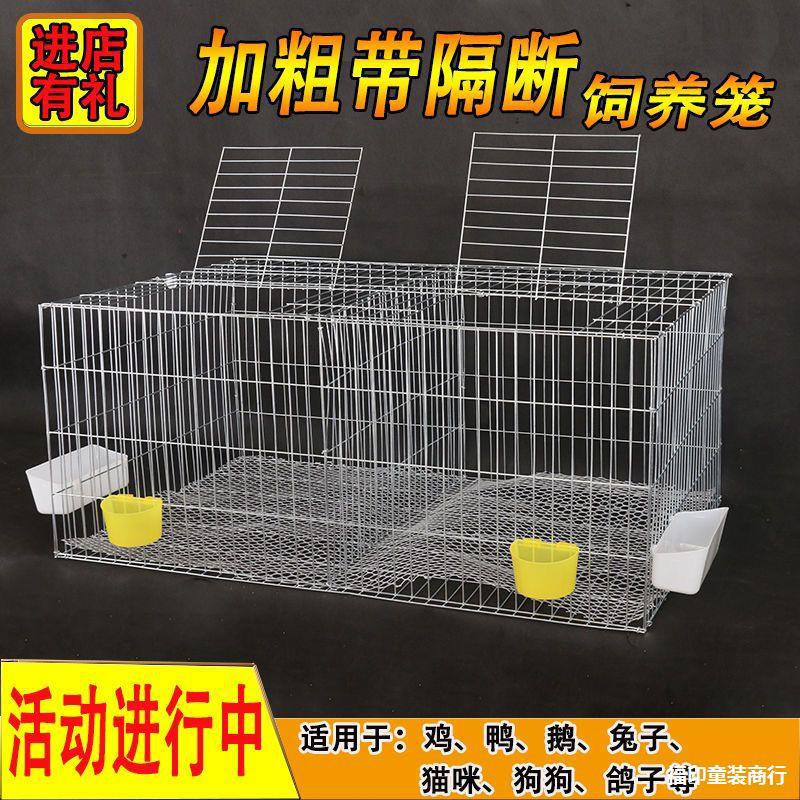 兔子笼鸡笼子家用鸽子养殖笼鹌鹑笼镀锌铁丝笼鸽子笼子母大号笼