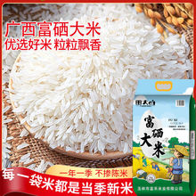 广西富硒大米晚稻丝苗米当季现磨长粒香米5kg煲仔饭米炒饭猫牙米