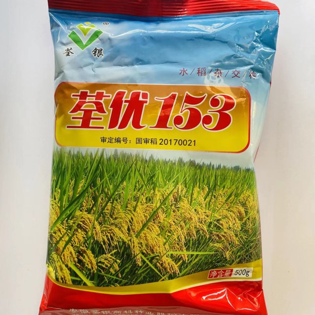 荃银荃优153水稻种子高产抗病国审优质稻谷种籽农家大天春播精选